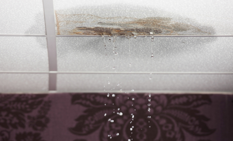 Plumber Milsons Point